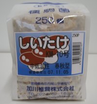 [きのこ菌]　しいたけ菌　KM-10号（春秋）250駒　加川椎茸（株）