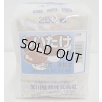 [きのこ菌]　しいたけ菌　KM-10号（春秋）250駒　加川椎茸（株）