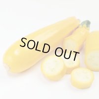 送料無料　[ズッキーニ]　イエローヤングマン　100粒　(株)サカタのタネ