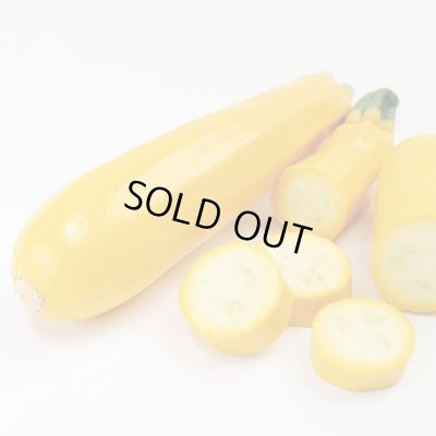 画像1: 送料無料　[ズッキーニ]　イエローヤングマン　100粒　(株)サカタのタネ