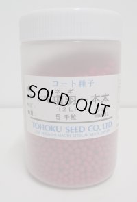 [ねぎ]　項羽一本太　ペレット種子　5千粒　（株）トーホク　