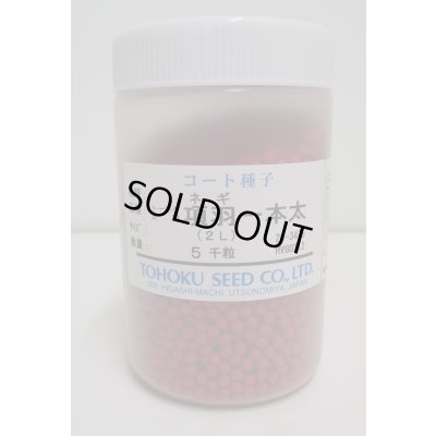 画像1: [ねぎ]　項羽一本太　ペレット種子　5千粒　（株）トーホク　