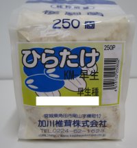 [きのこ菌]　ひらたけ　KM早生（種駒）250駒　加川椎茸（株）