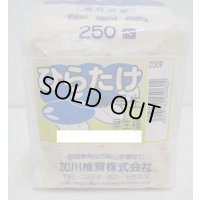 [きのこ菌]　ひらたけ　KM早生（種駒）250駒　加川椎茸（株）