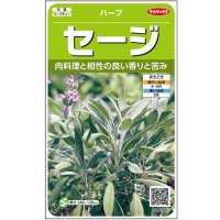 送料無料　[ハーブの種]　セージ　約180粒　(株)サカタのタネ　実咲（003182）