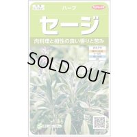送料無料　[ハーブの種]　セージ　約180粒　(株)サカタのタネ　実咲（003182）