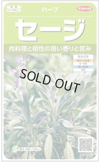 送料無料　[ハーブの種]　セージ　約180粒　(株)サカタのタネ　実咲（003182）