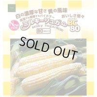 [とうもろこし]　ミルキーシュガーバイカラー80　2000粒　トキタ種苗(株)