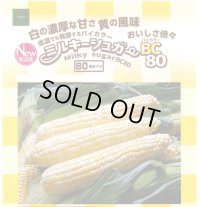 [とうもろこし]　ミルキーシュガーバイカラー80　2000粒　トキタ種苗(株)