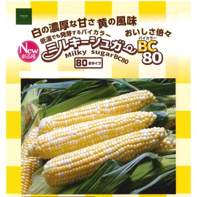 画像2: 送料無料　[とうもろこし]　ミルキーシュガーバイカラー80　150粒　トキタ種苗(株)