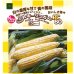 画像1: 送料無料　[とうもろこし]　ミルキーシュガーBC80　200粒　トキタ種苗(株) (1)