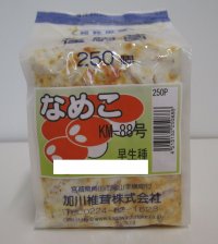 [きのこ菌]　なめこ菌　KM-88号 駒菌　250駒　加川椎茸（株）