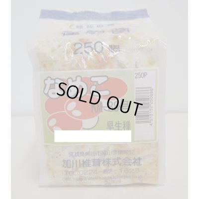 画像1: [きのこ菌]　なめこ菌　KM-88号 駒菌　250駒　加川椎茸（株）