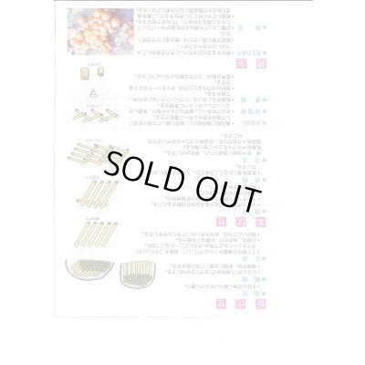 画像3: [きのこ菌]　なめこ菌　KM-88号 駒菌　250駒　加川椎茸（株）