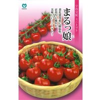 送料無料　[トマト/ミニトマト]　ミニトマト　まるっ娘　100粒　丸種（株）