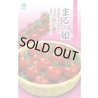 送料無料　[トマト/ミニトマト]　ミニトマト　まるっ娘　100粒　丸種（株）