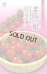 送料無料　[トマト/ミニトマト]　ミニトマト　まるっ娘　100粒　丸種（株）