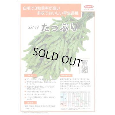 画像2: 送料無料　[枝豆]　たっぷり　約125粒（株）サカタのタネ　実咲550（107807）