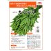 画像2: 送料無料　[枝豆]　たっぷり　約125粒（株）サカタのタネ　実咲550（107807） (2)