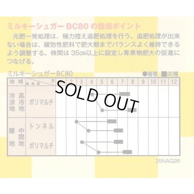 画像2: 送料無料　[とうもろこし]　ミルキーシュガーBC80　200粒　トキタ種苗(株)