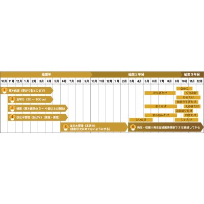 画像5: [きのこ菌]　なめこ菌　KM-88号　種菌（オガクズ）　1500cc　加川椎茸（株）