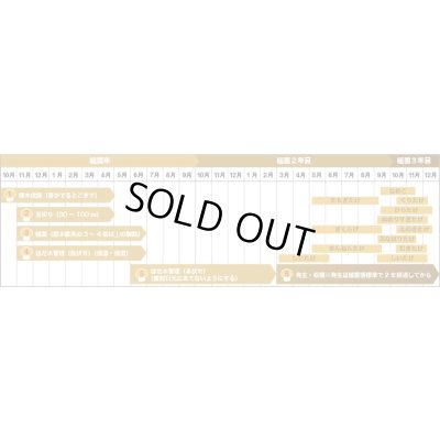 画像5: [きのこ菌]　なめこ菌　KM-88号 駒菌　250駒　加川椎茸（株）