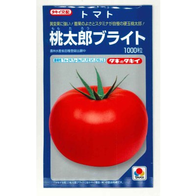 画像1: 送料無料 [トマト/桃太郎系]桃太郎ブライト 1000粒 タキイ種苗(株)