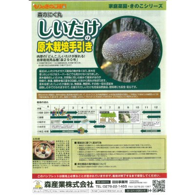 画像2: [きのこ菌]　しいたけ菌(肉丸)1000個入り