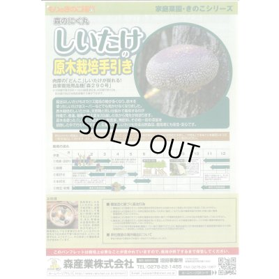 画像2: [きのこ菌]　しいたけ菌(肉丸)1000個入り