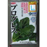 [ほうれんそう] プログレス 種子サイズ：L 2万粒 （株）サカタのタネ