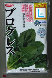 [ほうれんそう] プログレス 種子サイズ：L 2万粒 （株）サカタのタネ