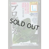 [ほうれんそう]　プログレス　種子サイズ：L　2万粒　（株）サカタのタネ