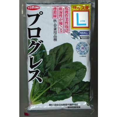 画像1: [ほうれんそう] プログレス 種子サイズ：L 2万粒 （株）サカタのタネ