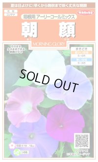 送料無料　花の種　朝顔　垣根用　アーリーコールミックス　約8粒（株）サカタのタネ　実咲200（026306）