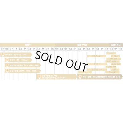 画像5: [きのこ菌]　なめこ菌　KM-88号　種菌（オガクズ）　1500cc　加川椎茸（株）