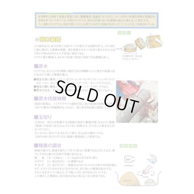 画像2: [きのこ菌]　ひらたけ　KM早生（オガクズ）1500cc　加川椎茸（株）