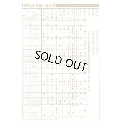 画像6: [きのこ菌]　なめこ菌　KM-88号　種菌（オガクズ）　1500cc　加川椎茸（株）