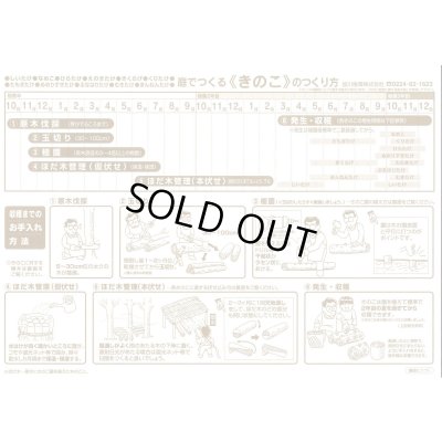 画像6: [きのこ菌]　なめこ菌　KM-88号 駒菌　250駒　加川椎茸（株）