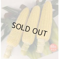 [とうもろこし]　あまいんですパワー85　200粒　渡辺農事(株)