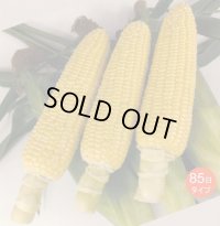 [とうもろこし]　あまいんですパワー85　200粒　渡辺農事(株)