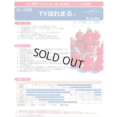 画像2: 送料無料　[トマト/ミニトマト]　TYほれまる　100粒　渡辺農事（株）