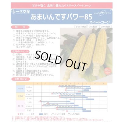 画像2: [とうもろこし]　あまいんですパワー85　200粒　渡辺農事(株)