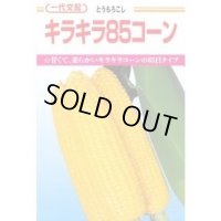[とうもろこし]　キラキラコーン85　2000粒　カネコ種苗（株）
