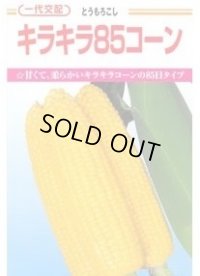 [とうもろこし]　キラキラコーン85　2000粒　カネコ種苗（株）