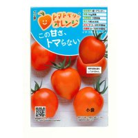 送料無料　[トマト/ミニトマト]　トマトベリー　オレンジ　5粒　トキタ種苗（株）