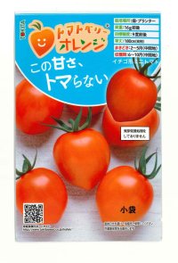 送料無料　[トマト/ミニトマト]　トマトベリー　オレンジ　5粒　トキタ種苗（株）