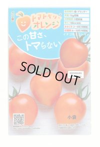 [トマト/ミニトマト] トマトベリー オレンジ 5粒 トキタ種苗（株）