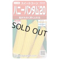 [とうもろこし]　ハニーバンタム20　2000粒　(株)サカタのタネ