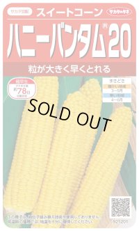 [とうもろこし]　ハニーバンタム20　2000粒　(株)サカタのタネ