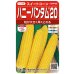 画像1: [とうもろこし]　ハニーバンタム20　2000粒　(株)サカタのタネ (1)